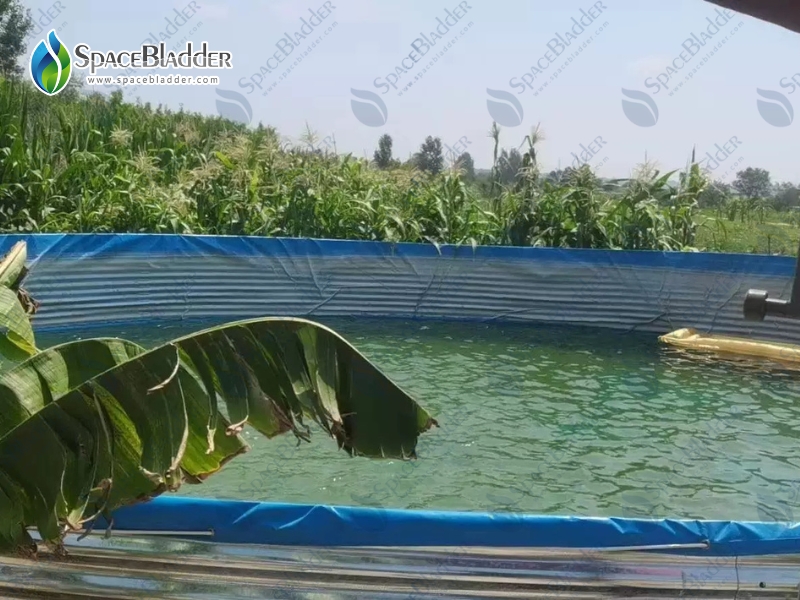 Customized Fish Farming Tank From Clients Feedback